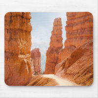 Bryce Canyon National Park Trail