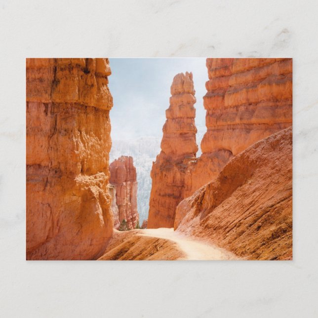 Bryce Canyon National Park Trail Postcard (Front)