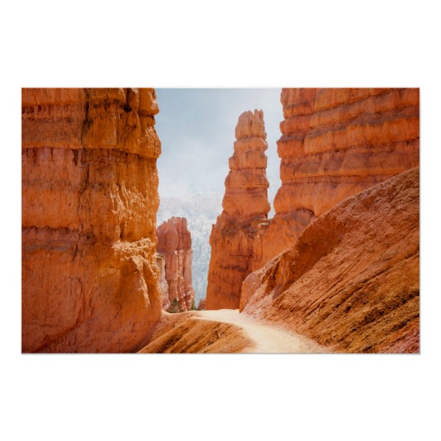 Bryce Canyon National Park Trail Poster (Front)
