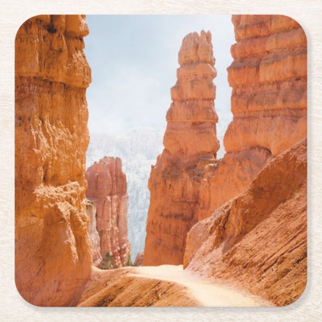 Bryce Canyon National Park Trail Square Paper Coaster (Front)