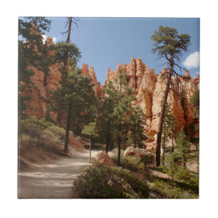 Bryce Canyon National Park Trail Tile
