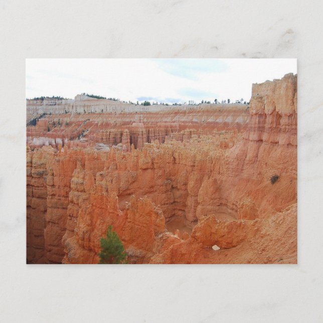 Bryce Canyon National Park, Utah, Postcard (Front)