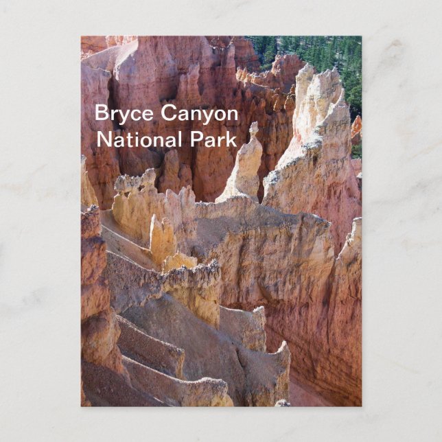 Bryce Canyon Postcard (Front)