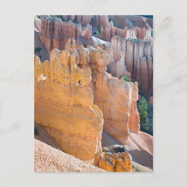 Bryce Canyon Postcard (Front)