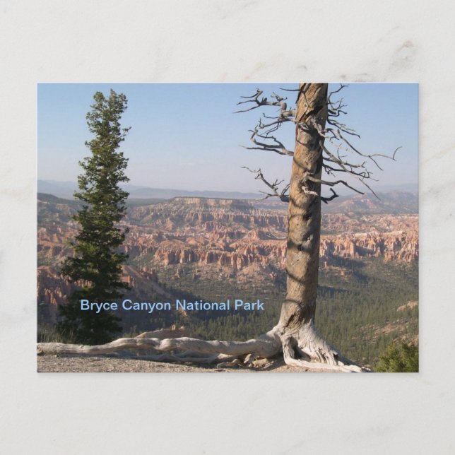 Bryce Canyon Postcard (Front)