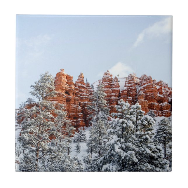 Bryce Canyon Tile (Front)