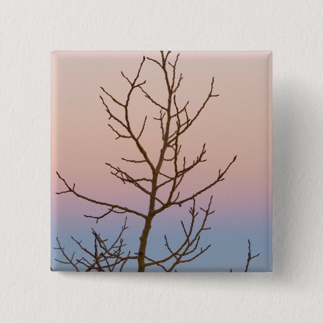 Bryce Canyon, Utah. Bare tree in front of sunset 2 Inch Square Button (Front)