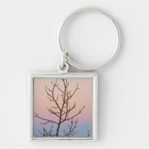 Bryce Canyon, Utah. Bare tree in front of sunset Keychain