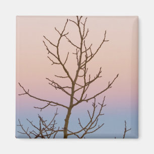 Bryce Canyon, Utah. Bare tree in front of sunset Magnet