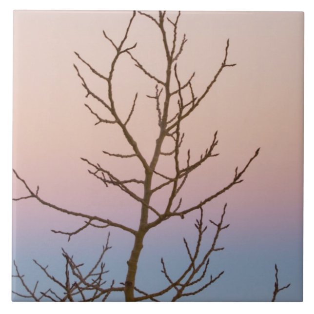 Bryce Canyon, Utah. Bare tree in front of sunset Tile (Front)
