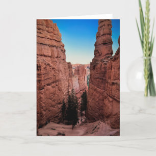 Bryce Canyon, Utah card