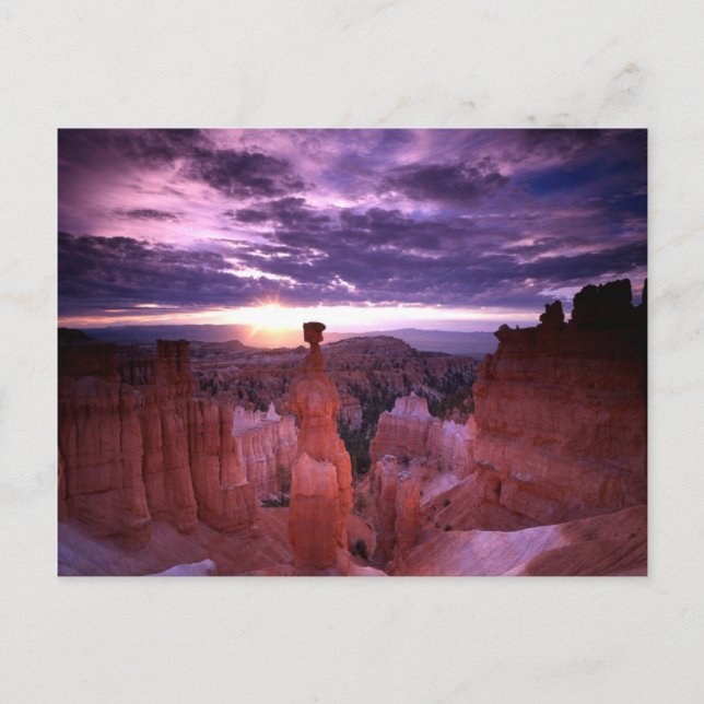 Bryce Canyon Utah National Park Thors Hammer Plain Postcard (Front)