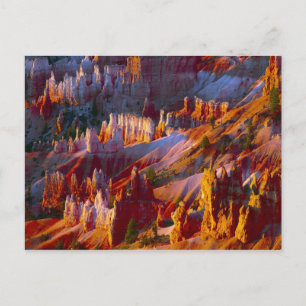 Bryce Canyon, Utah, USA 2 Postcard