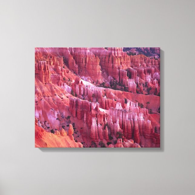 Bryce Canyon, Utah, USA Canvas Print (Front)