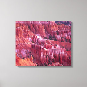 Bryce Canyon, Utah, USA Canvas Print