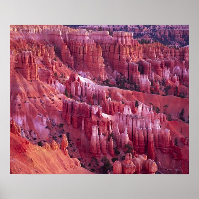 Bryce Canyon, Utah, USA Poster (Front)