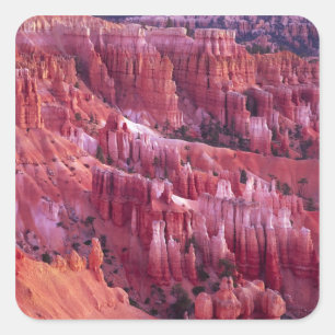 Bryce Canyon, Utah, USA Square Sticker