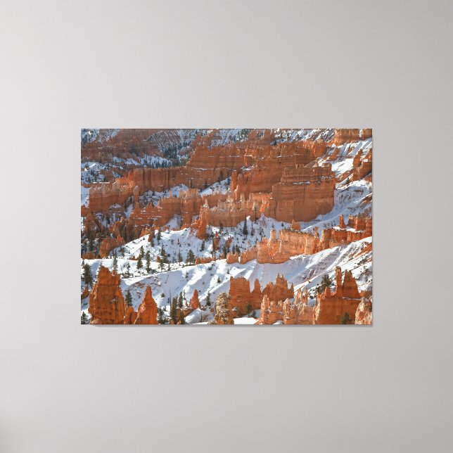 Bryce in Winter Canvas Print (Front)