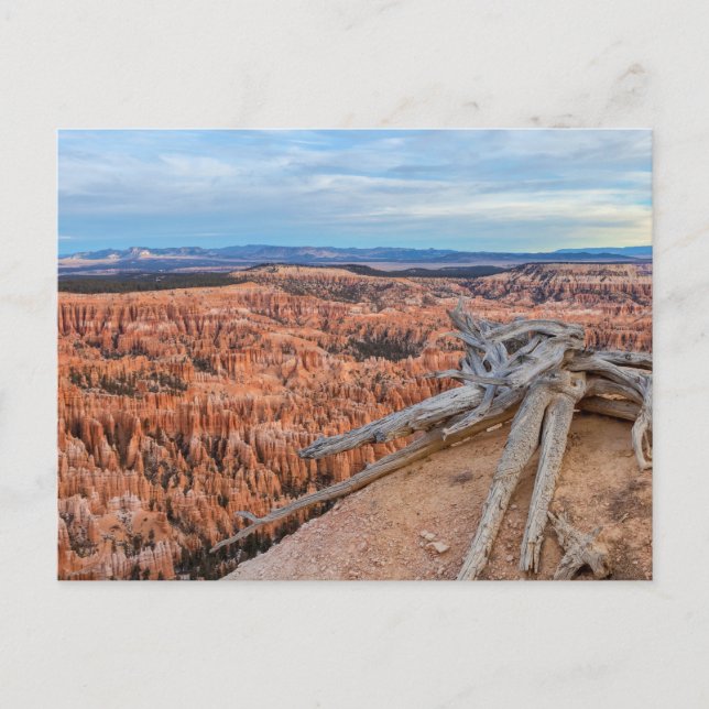 Bryce National Park Canyon at Sunrise Postcard (Front)