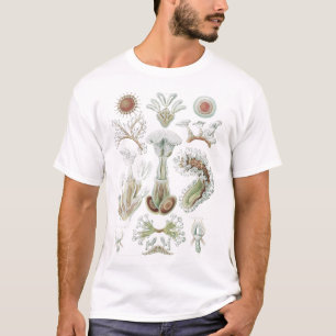 Bryozoa Coral Reef Anatomical Structures T-Shirt