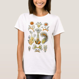 Bryozoa T-Shirt