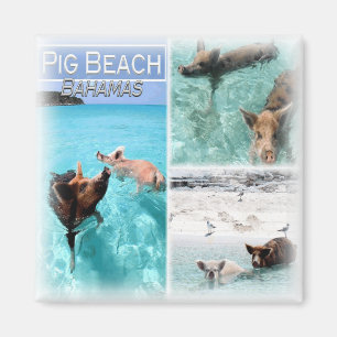 BS0018 America, Bahamas, Fridge  Magnet
