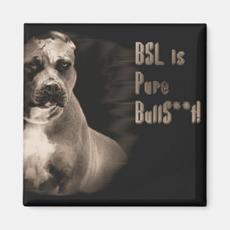 BSL est un aimant carré BS pur