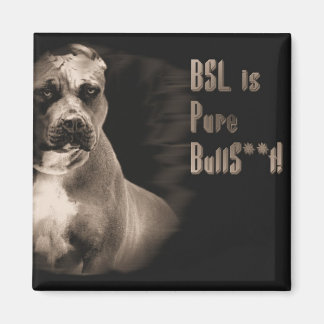 BSL is pure BS square magnet