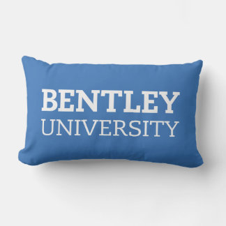 BU LUMBAR PILLOW