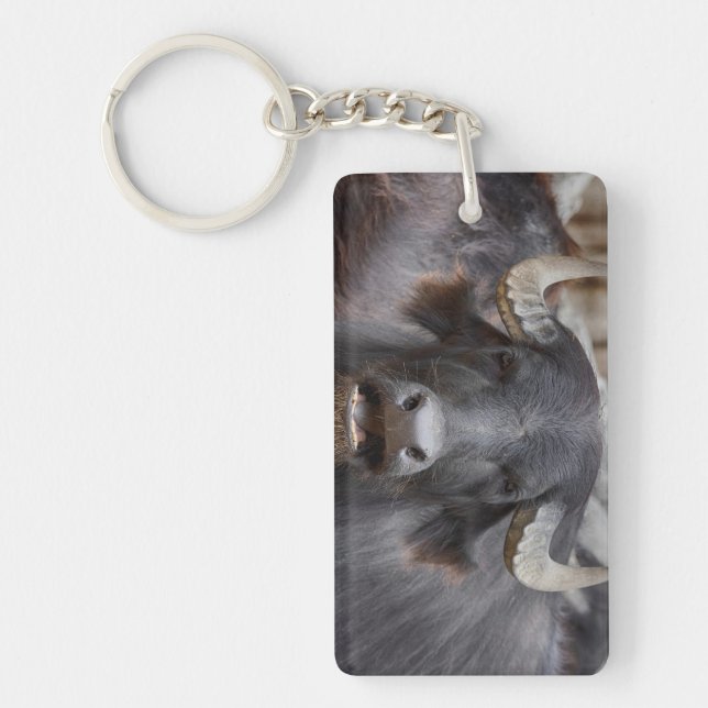 Bubalus bubalis keychain (Front)