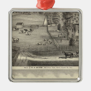 Bubb residences metal ornament