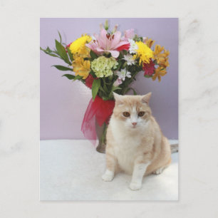 Bubba by Flowers Postcard
