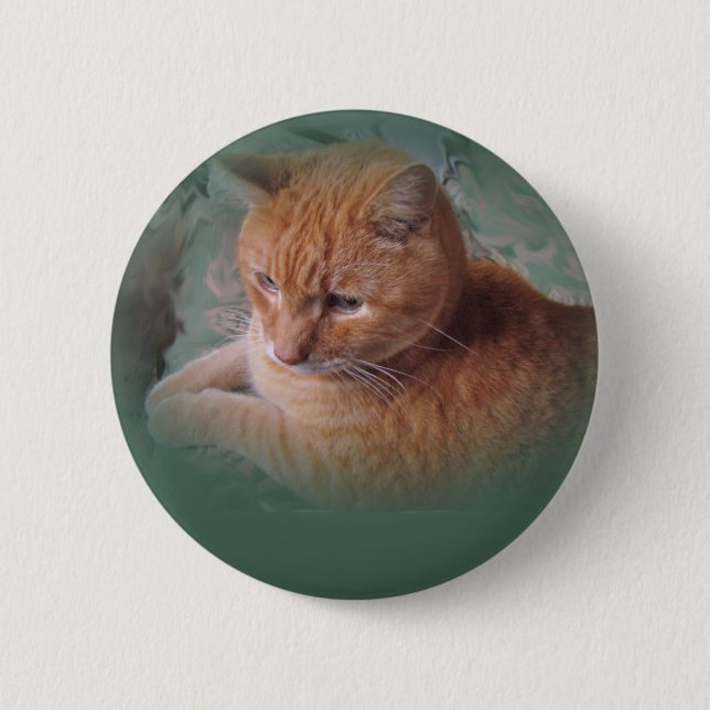 Bubba the Orange Tabby Tomcat 2 Inch Round Button (Front)
