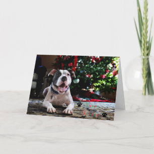 Bubba's Happy Holidays Holiday Card