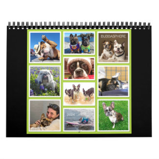 Bubbasphere 2024 calendar