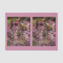 Bubble Bees Tissue Paper