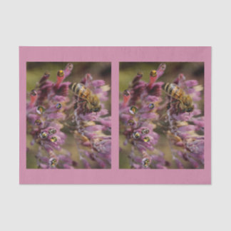 Bubble Bees Tissue Paper