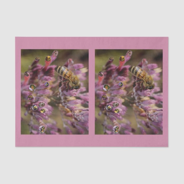 Bubble Bees Tissue Paper (Front)