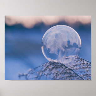 Bubble on Leaf Poster