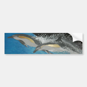 Bubblepacific bumper stickers, common dolphins sticker