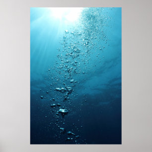 Bubbles Poster