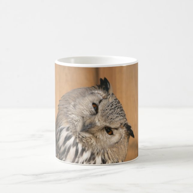 Bubo bubo sibiricus coffee mug (Center)