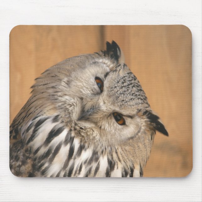 Bubo bubo sibiricus mouse pad (Front)