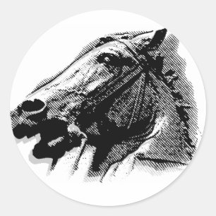 Bucephalus Classic Round Sticker
