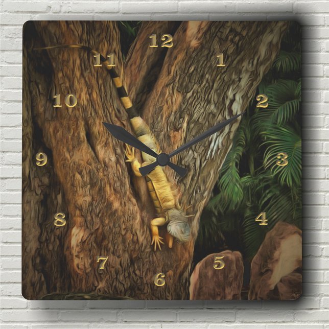 Bucerias Iguana 1069 Square Wall Clock (Creator Uploaded)
