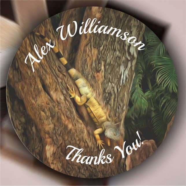 Bucerias Iguana Thank You 1069 Classic Round Sticker (Creator Uploaded)