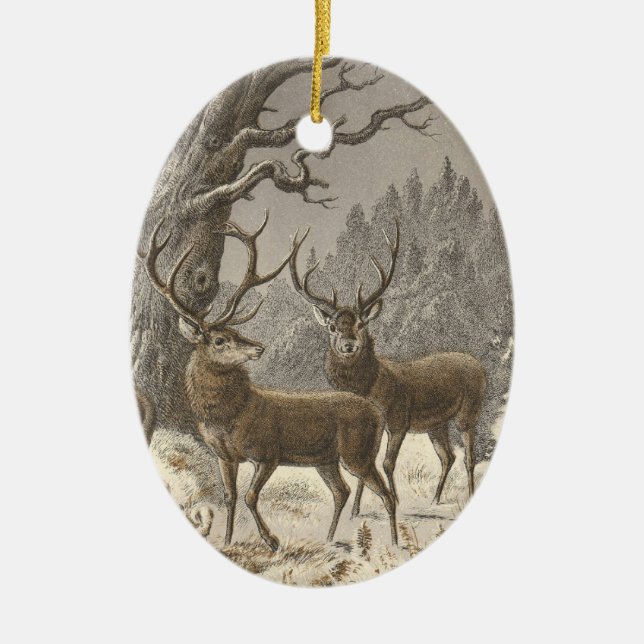 Buch der Welt Christmas Ornaments (Front)