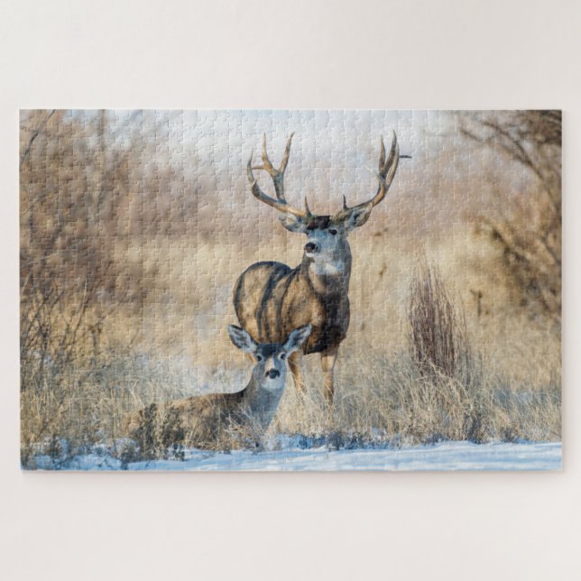 Buck Couple | Mule Deer Jigsaw Puzzle (Horizontal)