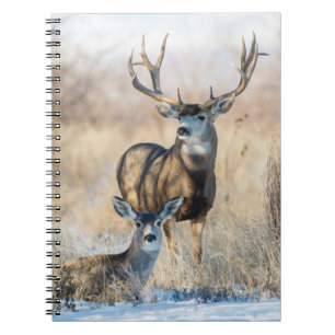 Buck Couple   Mule Deer Notebook