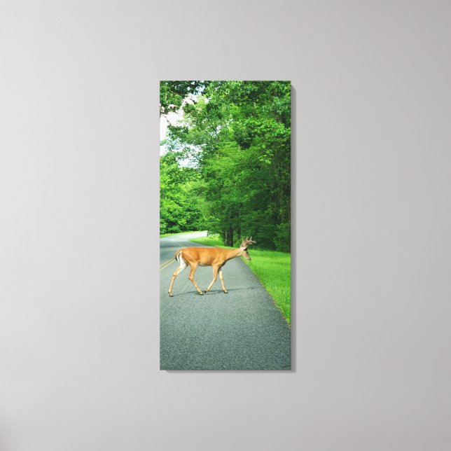 Buck Crossing the Road Canvas Print (Front)